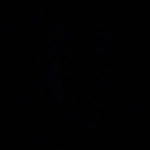 Meet your Posher, Jalen